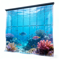 Écran d'affichage LED flexible transparent, mur vidéo LED transparent pour la publicité sur vitrine