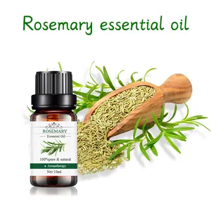 Manufacturer Supply Rosemary Essential Oil For Hair Growth And Massage Oil