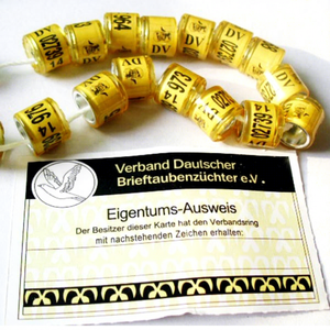 FCI Piccione Da Corsa Può Aggiungere Bandiera/<span class=keywords><strong>nome</strong></span>/telefono/e-mail/Numero di serie Può Fare Carta di Pigoen altri Prodotti Per Animali per Gli Uccelli, per Piccione - Product Image 1