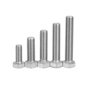 HSL Factory Price Stainless Steel 304 316 316L DIN 931 DIN 933 SS Bolts Nuts Hex Bolt