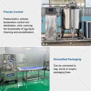 Máquina Separadora de Huevos ORME, Línea de Producción de Líquido de Huevo con Glaseado de Azúcar, Pasteurización y Procesamiento - Product Image 5