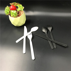 <span class=keywords><strong>2025</strong></span> Mới Nhất Bộ Đồ Ăn Dùng Một Lần 6 Inch Trắng Takeaway Dao Kéo Cpla Dùng Một Lần Phân Hủy Sinh Học Muỗng Cho Ice Cream - Product Image 6