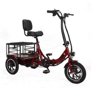 Triciclo Elettrico <span class=keywords><strong>Cargo</strong></span> 350W 48V per Adulti, Bici <span class=keywords><strong>Elettrica</strong></span> a 3 Ruote, Prezzo all'Ingrosso - Product Image 5