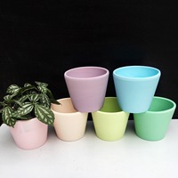 Pot Tanaman Sukulen Warna-warni DD2268 untuk Dekorasi Taman Rumah, Pot Bunga Keramik untuk Tanaman Indoor