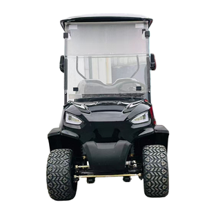 Voiturette de golf 2 places Premium 2025-Offre exclusive à durée limitée - Product Image 1