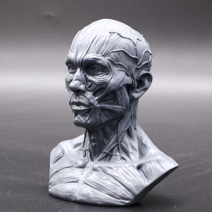 Prodotto in resina teschi umani decorazione per la decorazione della tavola di halloween - Product Image 5