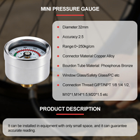 Mini Pressure Gauge Steel Joint 32mm Dial Back or Bottom Connection for Compact Equipment Panels