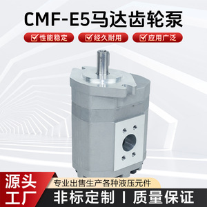 ปั๊มเกียร์ไฮดรอลิกซีรีส์ Cmf E5 แบบปรับอัตราการไหลได้ ขับเคลื่อนด้วยมอเตอร์ สำหรับใช้งานในอุตสาหกรรม - Product Image 5