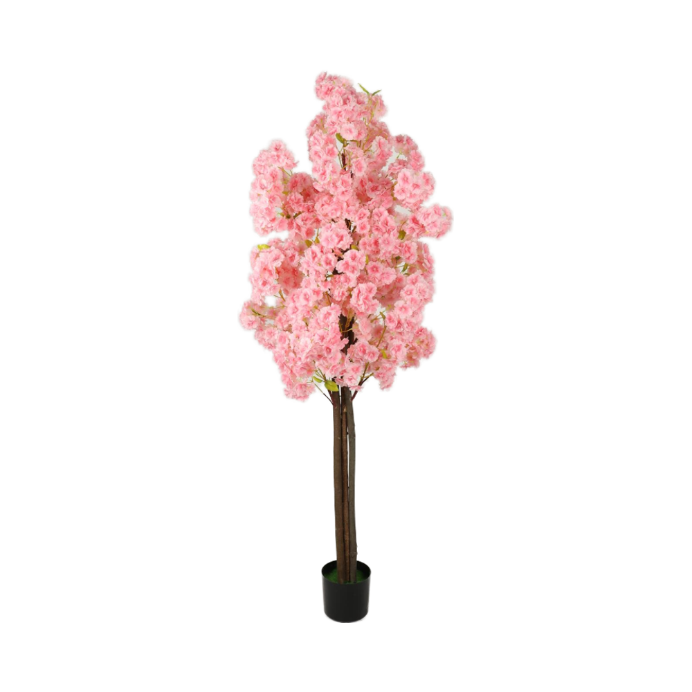 Rose moyen chaud