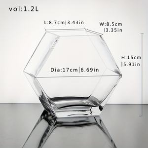 Creatieve en gepersonaliseerde glazen aquariums voor vissen, geometrische pentagonale miniatuur aquariums, zeer transparante desktop aquariums - Product Image 2