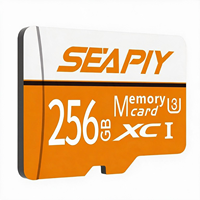 Carte mémoire haute endurance 256 Go Classe 10 U3 V30 pour écouteurs TWS, système de caméra d'action CCD, carte Mini SD