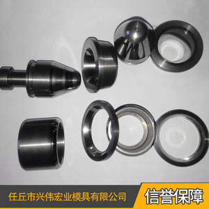 Piezas de Carburo Cementado Daido para Moldes, Troqueles de Estampado, Accesorios para Autopartes - Product Image 3