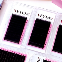 Extensions de cils VEYES personnalisées 8-16 mm 25 mm 0,03 volume PBT faites à la main, cils naturels en fourrure, bande complète avec étiquette privée