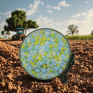 Fabricante de China Fertilizante de calcio y magnesio Fertilizante soluble en agua Fertilizantes <span class=keywords><strong>Cal</strong></span> Mag Precio para cultivos agrícolas - Product Image 1