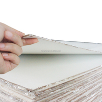 Plaques de bois MDF vierges pour sublimation, revêtement brillant haute qualité, écologiques, personnalisables, modèle MDF3 1220x610mm 3mm