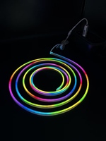 Ruban LED néon RGB adressable ultra-fin 4x8mm, DC5V, indice de protection IP67, dimmable, en silicone pur