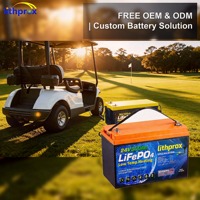 Batterie au phosphate de fer et de lithium de qualité A 24V 300AH 6000 cycles profonds pour voiturette de golf avec CAN Bus, BMS intelligent, borne M8, CE RoHS IP67, OEM ODM