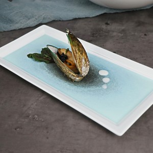 Platos <span class=keywords><strong>de</strong></span> Porcelana Azul Claro Resistentes, Platos Rectangulares para Mariscos para <span class=keywords><strong>Restaurante</strong></span> - Product Image 2