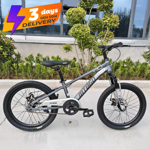 Vélo de montagne pour garçons MTBGO traditionnel, 3-15 ans, <span class=keywords><strong>20</strong></span> <span class=keywords><strong>pouces</strong></span>, acier, simple vitesse, avec amortisseur avant et panier en plastique - Product Image 4
