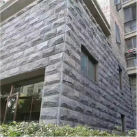 Pierre murale en granit noir moderne G654, face brisée, qualité supérieure, coupée sur mesure, vente en gros directe d'usine en Chine