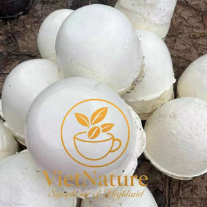 [Haute pureté] Caoutchouc industriel vietnamien non traité, résistant au vieillissement, en forme de bloc, pour la fabrication de bandes transporteuses et de tuyaux - Product Image 3