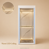 Cabine d'ascenseur panoramique de luxe avec cadre en acier inoxydable couleur or champagne, panneau mural en verre trempé et panneau en bois veiné, et éclairage LED au plafond