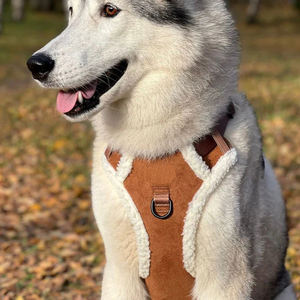 Set <span class=keywords><strong>Harness</strong></span> dan Tali Anjing Warna Biru Beludru Hangat dengan Kantong Camilan untuk Anjing Kecil, Sedang, dan Besar Model Rompi - Product Image 4