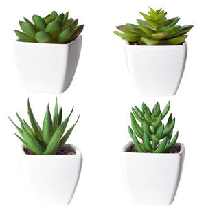 Plantas de bonsái suculentas artificiales, arbustos verdes falsos de plástico, Mini <span class=keywords><strong>Echeveria</strong></span> maceta, decoración de escritorio, macetas suculentas Nórdicas - Product Image 5