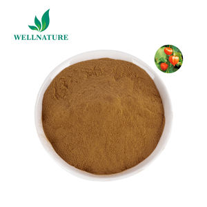 Cápsula Oem Extracto de Ashwagandha en polvo al mejor precio, Withanolide 2.5%, 5%, 10% - Product Image 2