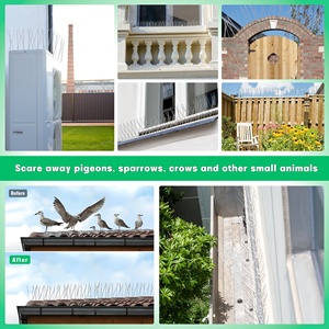 Piques <span class=keywords><strong>anti</strong></span>-oiseaux en acier inoxydable 304 pré-collées, à coller sans perçage, kit <span class=keywords><strong>anti</strong></span>-pigeons DIY pour balcon d'appartement et rebord de fenêtre - Product Image 6