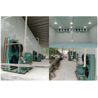 Compresseur frigorifique R404 25hp 20hp 30hp 15hp 12hp 10hp Unités de condensation industrielles pour chambre froide