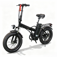 Moto électrique pliable Paige 48V haute vitesse 800W pour adulte, personnalisable, directement du fabricant