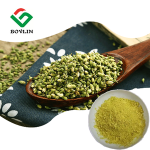 Polvere di Quercetina Liposomiale di Grado Alimentare, Integratore per la Salute, Estratto di Sophora Japonica con Confezione in Bottiglia, Fornitura del Produttore - Product Image 1