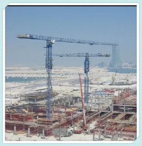 رافعة برجية TT6016-8T من SYM TOPSKY <span class=keywords><strong>YONGMAO</strong></span> بقدرة تحمل عالية وحمولة 8 أطنان وارتفاع رفع 80 متر وامتداد 30 متر مع ضمان لمدة 3 سنوات - Product Image 5