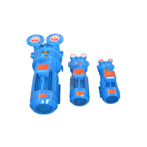 BOYUAN Hersteller 2BV Serie Horizontale Wasser Flüssigkeits ring Vakuumpumpe Elektrische Hochdruck Energie einsparung Anpassbar - Product Image 4