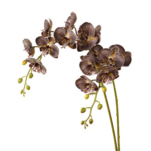 Orquídea Phalaenopsis Artificial de 8 Cabezas, Flor Artificial de Plástico PU de Alta Simulación, Decoración de Boda Estilo Vintage - Product Image 4