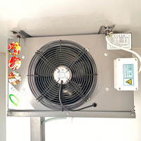Camionnette de vente ambulante chinoise pour la restauration rapide, fourgonnette isotherme pour la chaîne du froid, remorque frigorifique