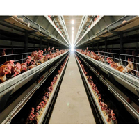 Poulailler à structure en acier préfabriqué de grande capacité résistant aux intempéries pour les fermes d'élevage de poulets a besoin d'un hangar à volaille