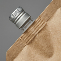 Pochette souple à bec verseur en papier kraft PE résistant à l'humidité avec bouchon à vis latéral pour recharge de détergent liquide ménager