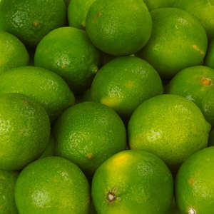Citron vert frais sans pépins VIOT Vietnam Qualité d'exportation pour le marché européen Norme GlobalGAP Citron vert en vrac Fournisseur d'usine 6cm 0.1kg - Product Image 4