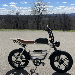 Vélo électrique tout-terrain DYNALION 48V, Fat Bike rétro, hybride, avec moteur à moyeu arrière, batterie lithium, double suspension K7-2 - Product Image 6