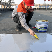 Revêtement imperméabilisant polyuréthane monocomposant liquide, peinture imperméabilisante brossable à application à froid pour toiture et béton