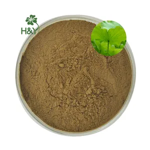 Best price lotus leaf extract powder 1% 4% nucifierine capsules