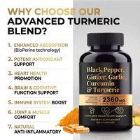 OEM Private Label Bulk Piperine Zwarte Peper Gember Knoflook Curcumine Extract Capsule Kruidensupplement Kurkuma Curcumine Capsules