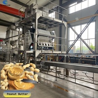 Machine à fabriquer de la beurre de cacahuètes et d'amandes, équipement de traitement de la pâte de pistache 500-2000 kg/h SS304