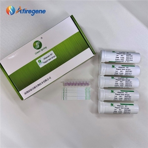 Tiras Reactivas Rápidas para Aflatoxinas B1 LSY-20006, Medidor de Aflatoxinas en Maíz, Detector de Toxinas - Product Image 6