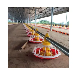 Low Price Automatic Poultry Farm Chicken Feeder Poultry Farming Automatic Feeder and Ventilate