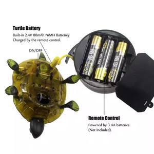 Tortue RC rechargeable en plastique réaliste, jouet animal amusant pour animaux de compagnie, simulation de marche rampant, <span class=keywords><strong>jeu</strong></span> d'été, vente en gros - Product Image 2