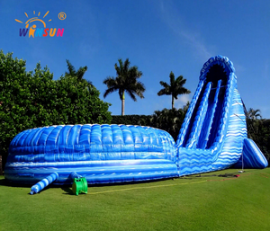 Toboggan aquatique gonflable Winsun Commercial de 20 pieds pour adultes et enfants, avec piscine, motif palmier tropical, idéal pour l'extérieur et à prix abordable - Product Image 1