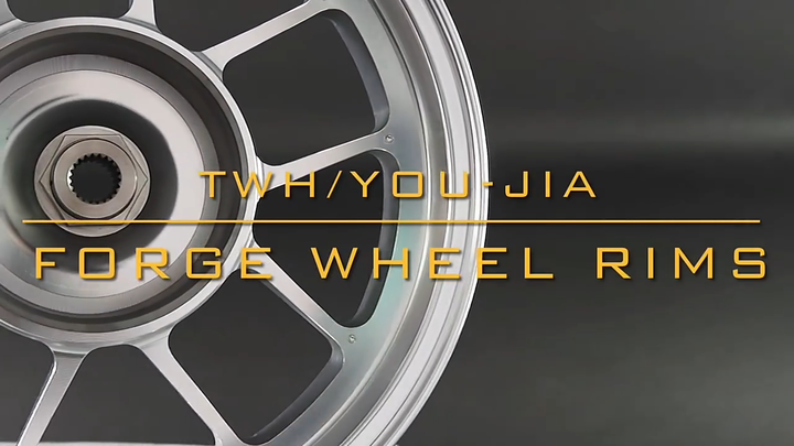 TWH ZX Forge 10 Inch Honda Motorcycle Rims with Brake Hubs